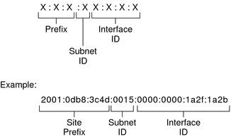 Thành phần của địa chỉ IPv6