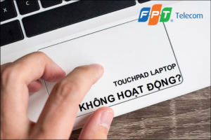 tai-sao-chuot-cam-ung-laptop-khong-di-chuyen-len-xuong-duoc